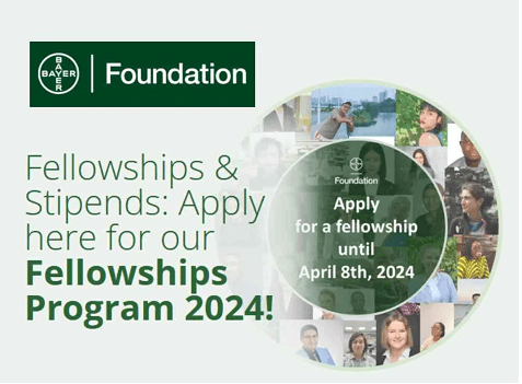 bayer fellowship