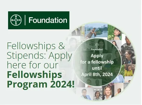 bayer fellowship