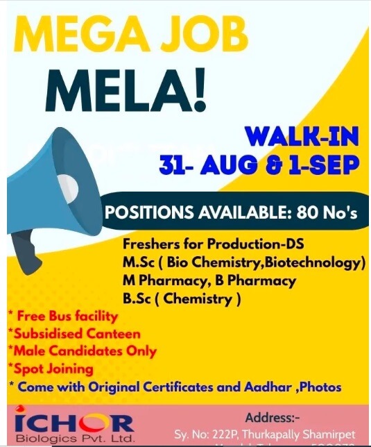 MEGA JOB MELA