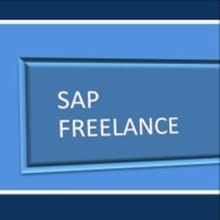 SAP Freelance 