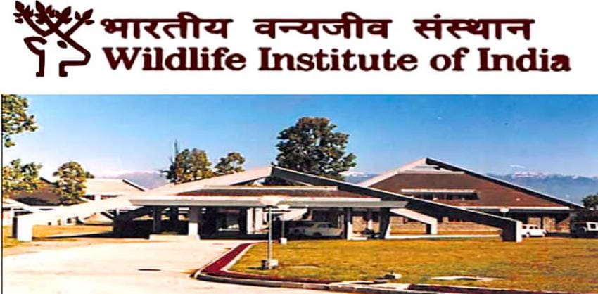 Wildlife Institute of India